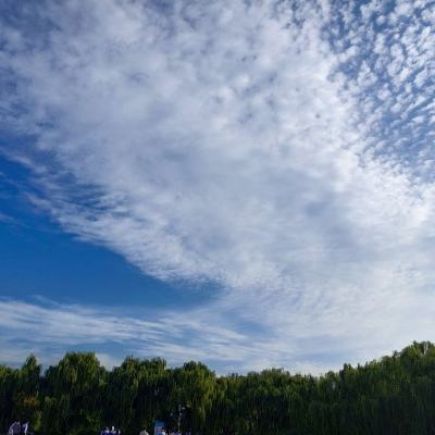 枭雄天下手游下载
